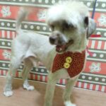 Imagem do WhatsApp de 2024-03-27 à(s) 13.58.56_e349b578