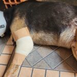 WhatsApp Image 2024-04-17 at 11.43.46