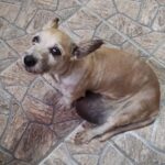 WhatsApp Image 2024-04-17 at 16.42.01