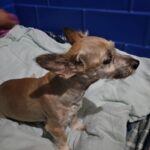 WhatsApp Image 2024-04-20 at 19.57.37