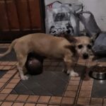 WhatsApp Image 2024-04-20 at 19.58.04