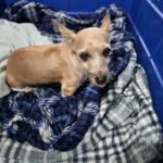 WhatsApp Image 2024-04-21 at 21.24.01