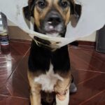 WhatsApp Image 2024-04-23 at 15.11.54 (2)