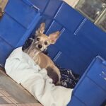 WhatsApp Image 2024-04-23 at 15.12.27