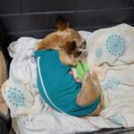 08933b86-9731-464d-8a3e-689d8f81a03b