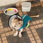 6c6aedcd-24f0-44a2-b730-6e26cd4b01d9