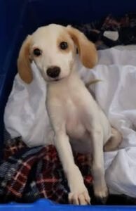 c8f67960-2e09-4f97-8e5d-dc809fe9ee70