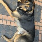 WhatsApp Image 2024-09-29 at 13.22.38