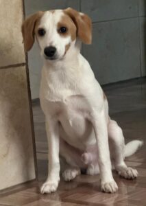 WhatsApp Image 2024-09-29 at 13.24.56