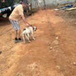 WhatsApp Image 2024-12-23 at 13.00.35 (1)