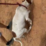 WhatsApp Image 2024-12-23 at 13.00.35