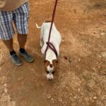 WhatsApp Image 2024-12-23 at 13.00.35 (2)