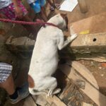 WhatsApp Image 2024-12-23 at 13.00.36 (1)