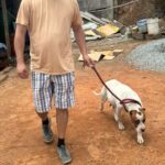 WhatsApp Image 2024-12-23 at 13.00.36