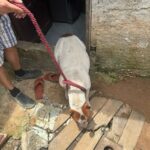 WhatsApp Image 2024-12-23 at 13.00.37