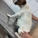 WhatsApp Image 2024-12-23 at 15.15.24